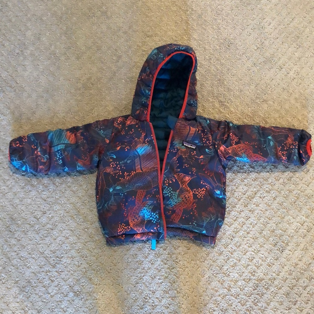 Patagonia Baby Down Sweater: reversible with hood